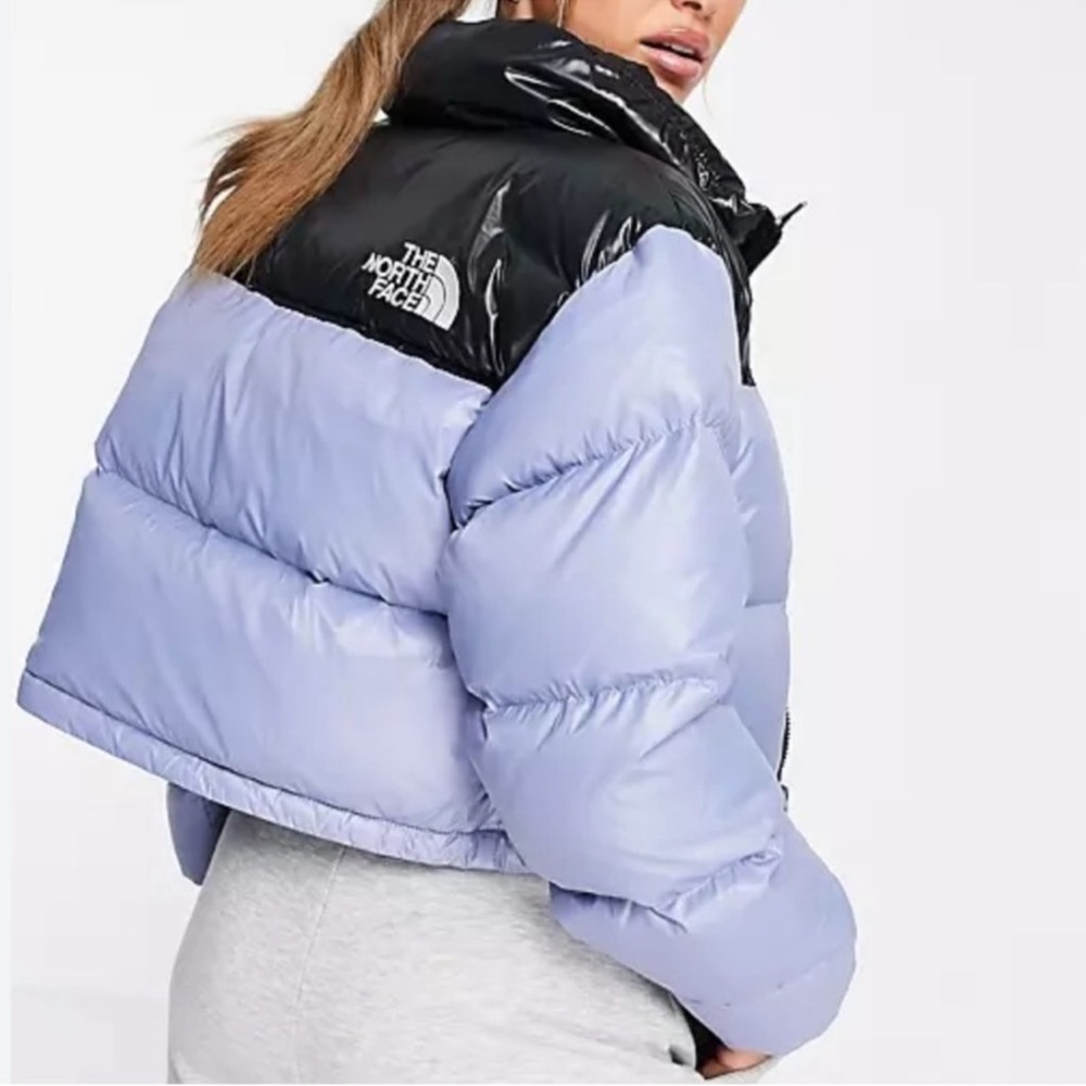The north face blue nuptse short jacket